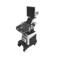 DW-C80PLUS trolley Color doppler 3D sono ultrasound machine ultrasound scanner